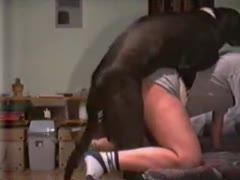 Alluring never seen before In this clip from the beast sex movie, a horse screws a cougar wearing stockings.